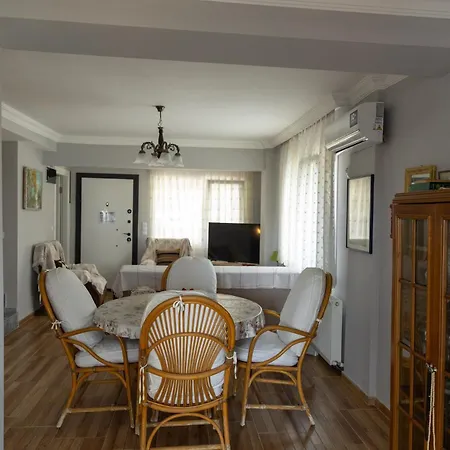 Sisi's - * 쿠사다시