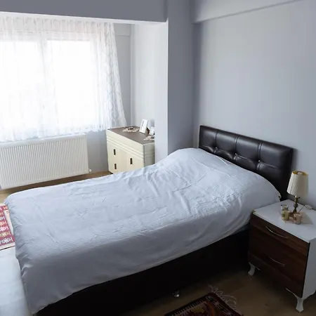 Sisi's - 쿠사다시